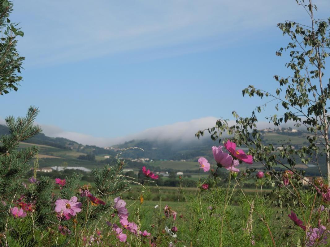 Relais De Navon Bed & Breakfast Saint-Joseph  Luaran gambar