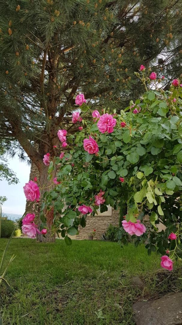 Relais De Navon Bed & Breakfast Saint-Joseph  Luaran gambar